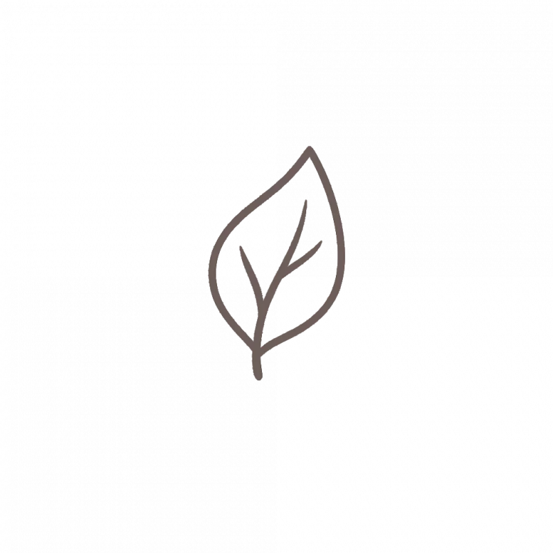 Blatt Icon